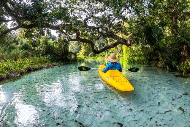 Outdoor Activities and Nature Spots Around Orlando